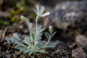 Plantas resucitadas por la ciencia